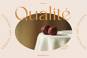 Quinek Elegant Serif, a Serif Font by Brandear Design (Thumbnail 7 of 16)
