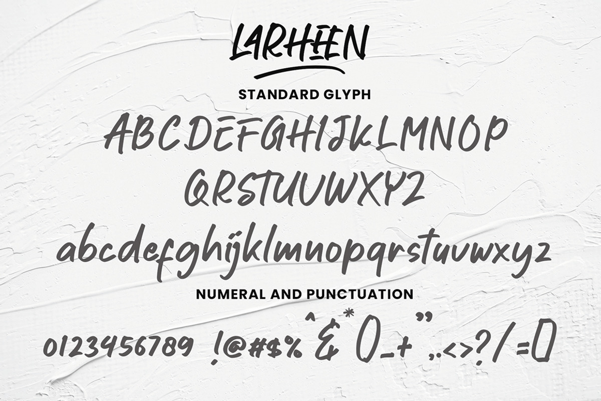 Larheen, a Handwritten Font by Suza Studio (Photo 12 of 12)