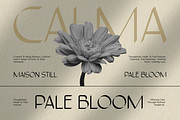 Karolyne, a Sans Serif Font by CuratedType Studio (Thumbnail 5 of 10)