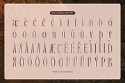 Tebranos | Modern Display Serif, a Serif Font by Denustudios (Thumbnail 12 of 13)