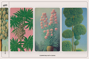 Botanical Surrealism, a Texture Graphic by Nomad Visuals (Thumbnail 18 of 19)