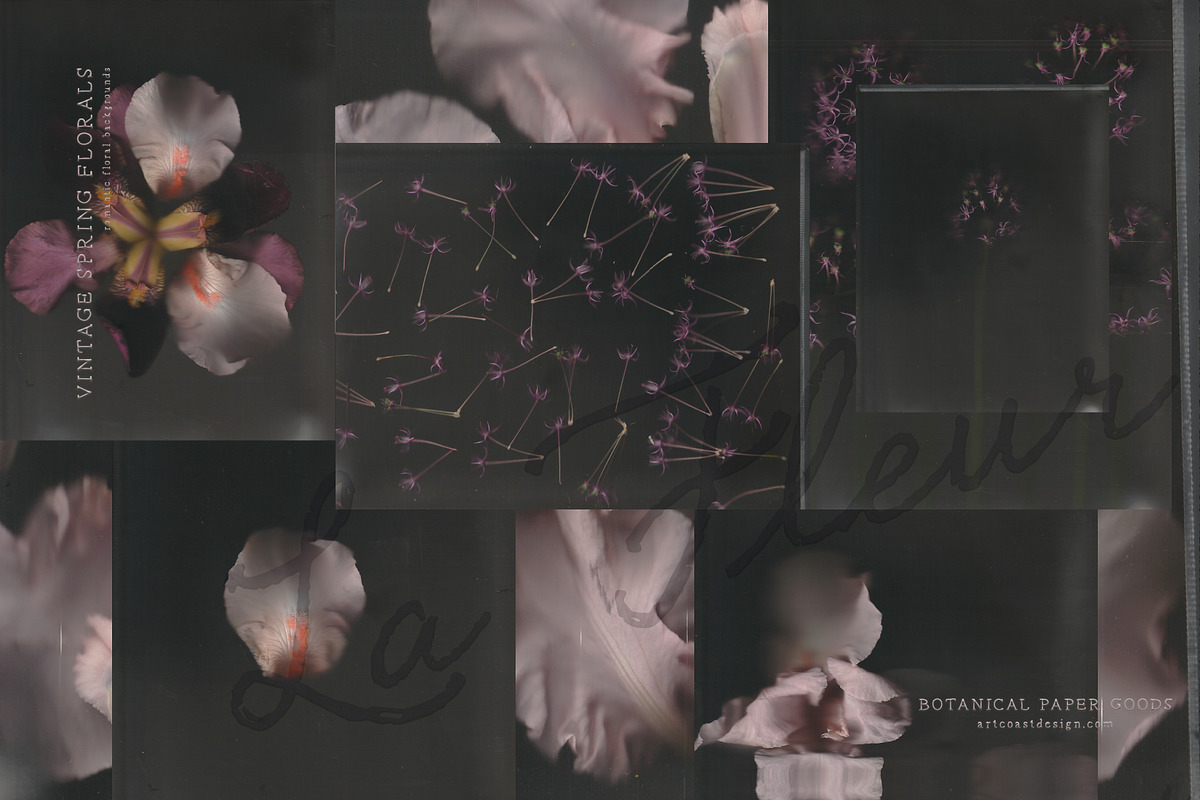 La Fleur — Vintage Spring Florals, a Wallpaper Graphic by nadispasibenko (Photo 9 of 12)