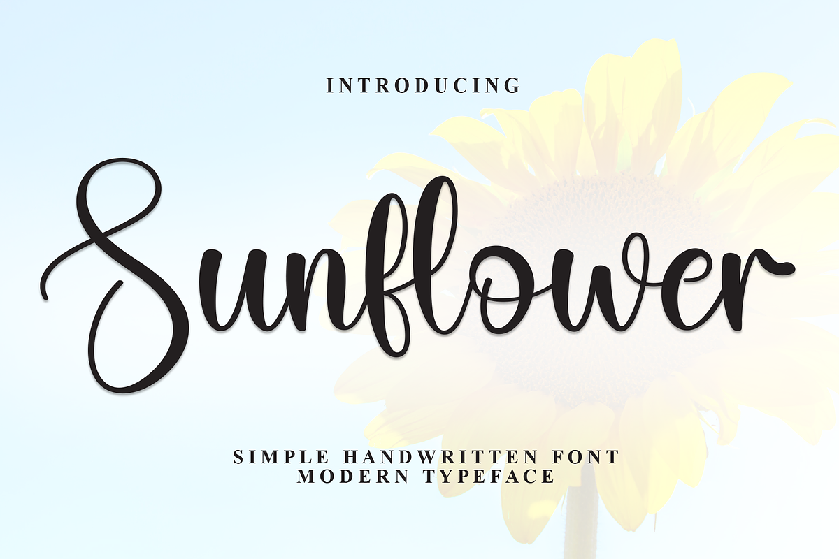 Sunflower | Script Font, a Handwritten Font by Scratchones (Photo 1 of 8)