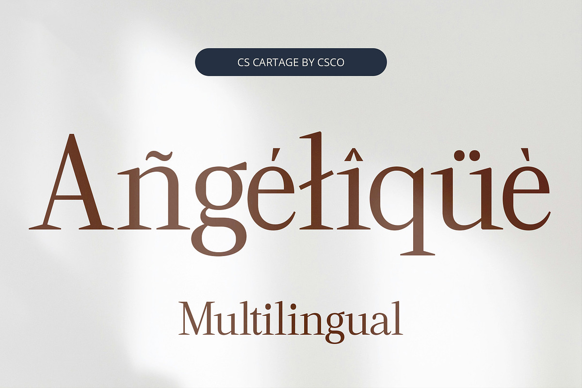 CS Cartage – Contemporary Font, a Serif Font by Craft Supply Co. (Photo 4 of 8)