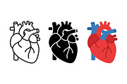 Anatomical Heart Vector Set, an Object Graphic by Artonix (Thumbnail 2 of 3)
