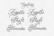 Charlize - 3 fonts, a Script Font by Leitmotif (Thumbnail 3 of 5)