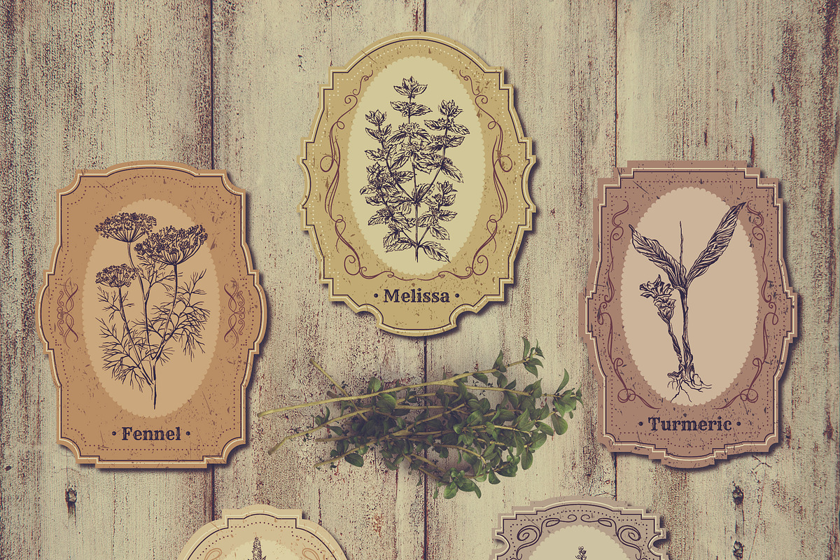 Herbs and spices. Vintage labels set, a Food Illustration by kateja (Photo 2 of 8)
