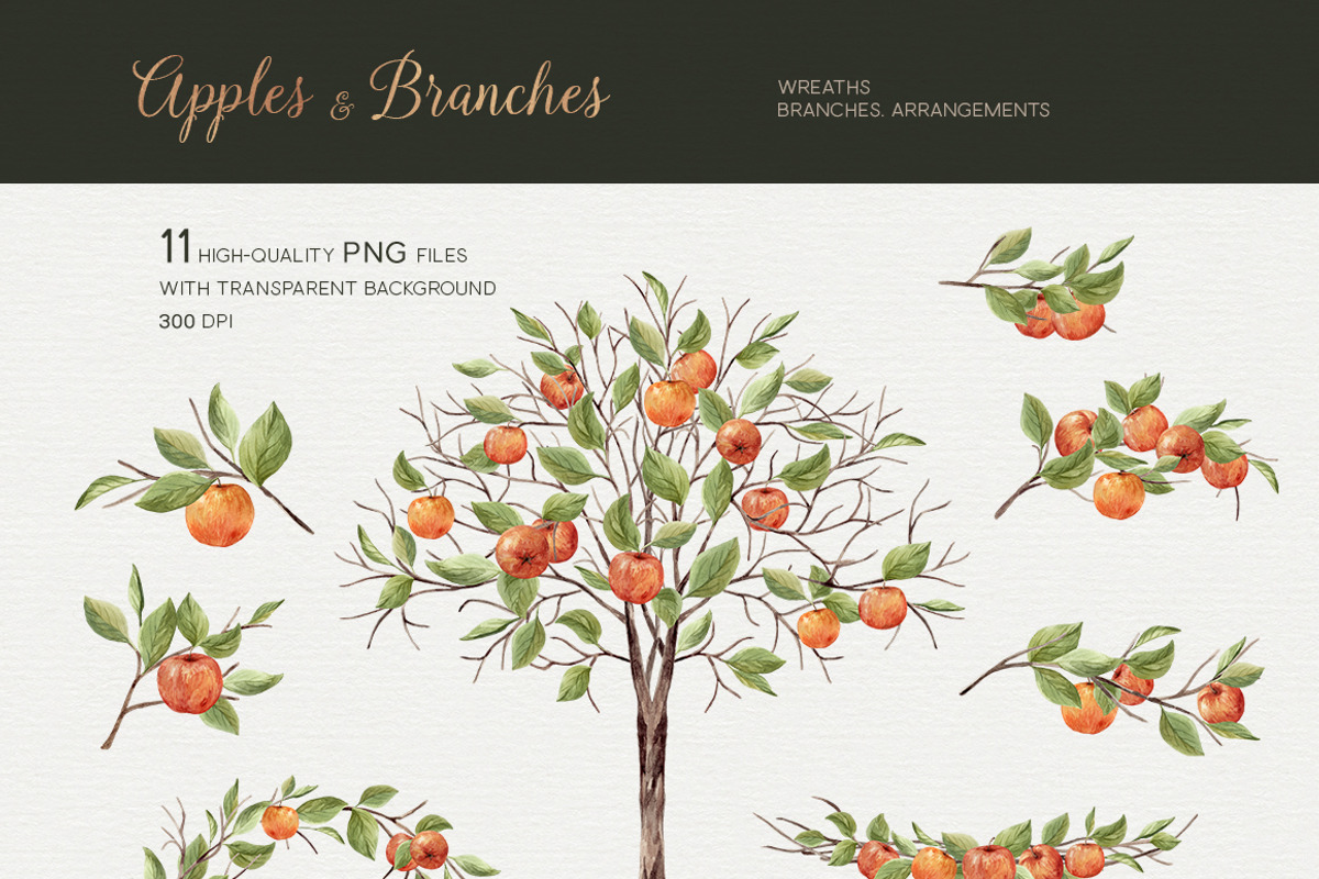 Apples and branches Watercolor set, an Illustration by NataliVA (Photo 2 of 9)