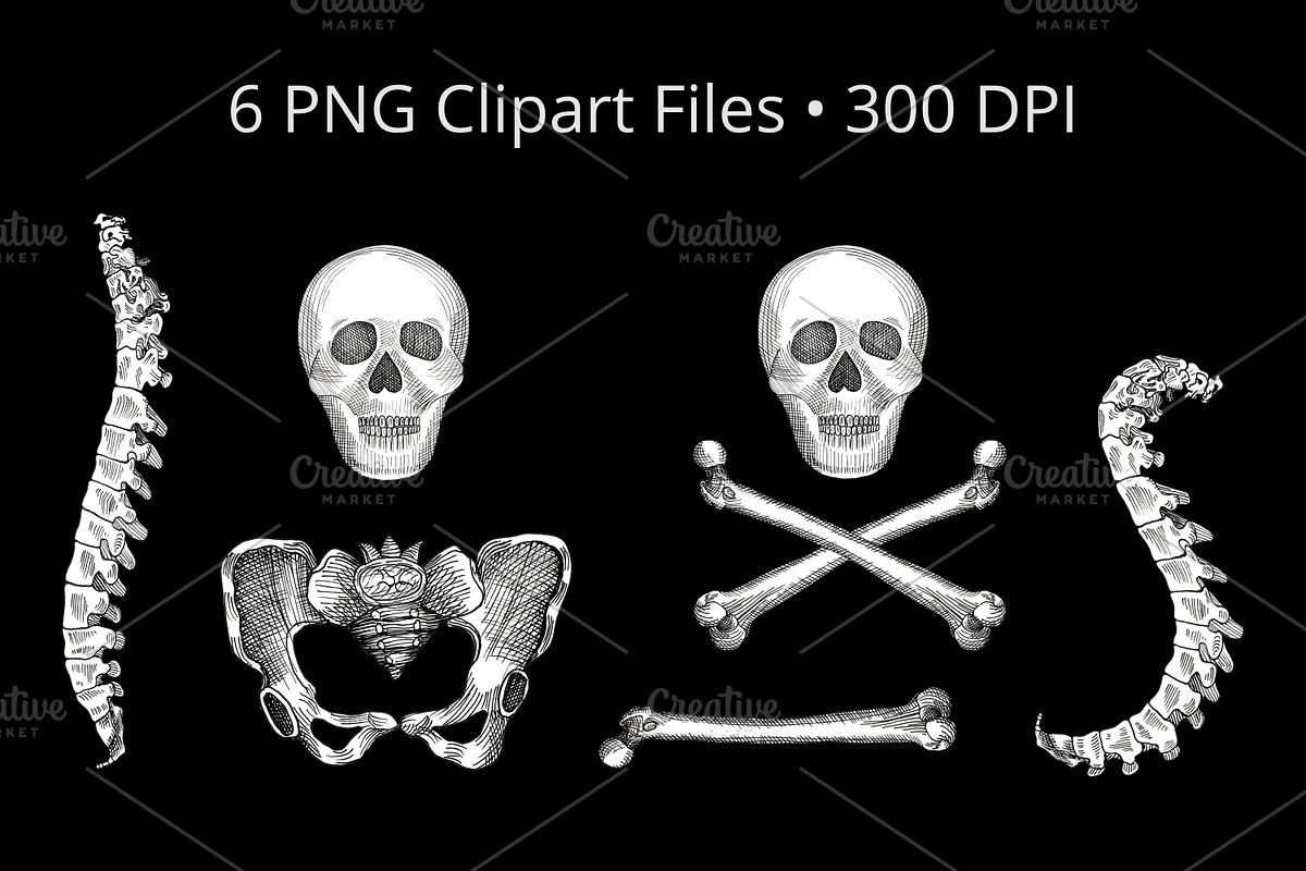 Skull & Bones Patterns + Clipart, a Pattern Graphic by Sveta Aho (Photo 2 of 5)