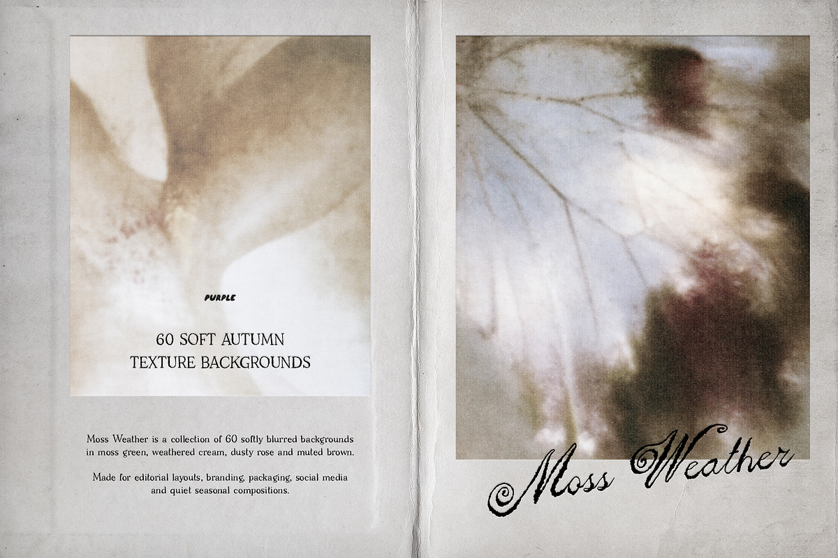 Moss Weather: Fall Backgrounds, a Texture Graphic by Purple (Photo 4 of 11)