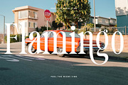 Trangels New Tall Serif Display, a Serif Font by timelesstype.co (Thumbnail 14 of 20)