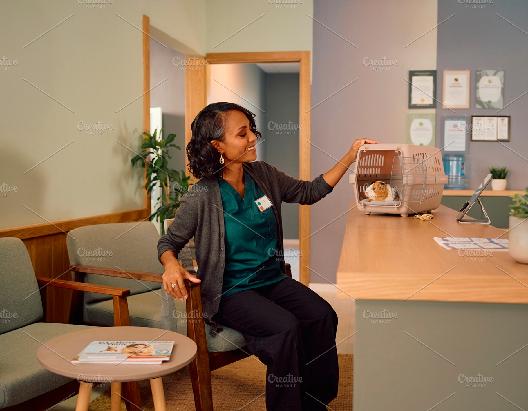 Mature black woman at veterinary clinic waiting area with guinea, a Health & Medical Photo by DanFLCreativo