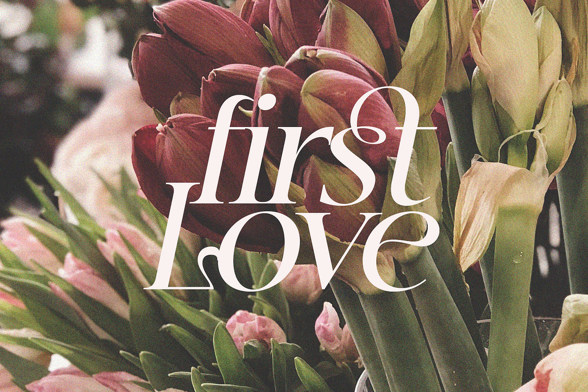 Jemina - Modern Branding Family, a Serif Font by creativemedialab (Photo 11 of 15)
