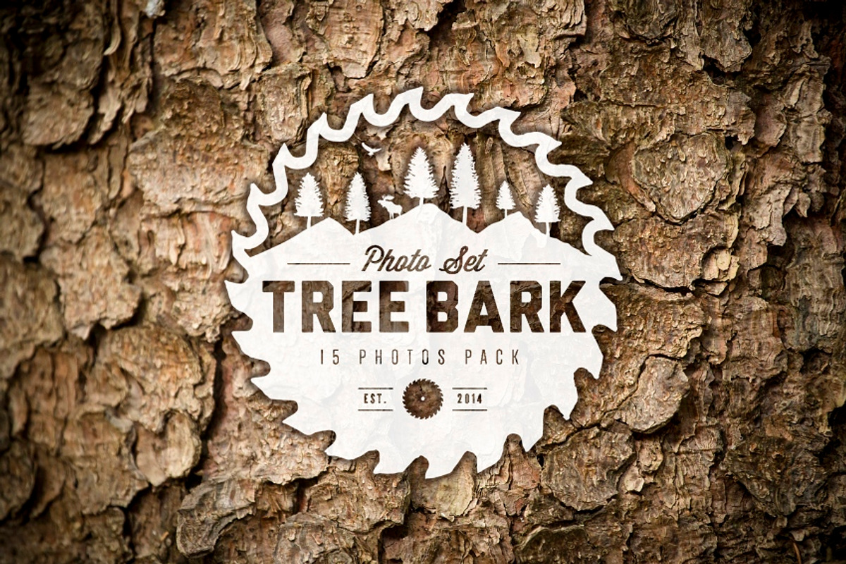 TreeBark - 15 photoset preview 4