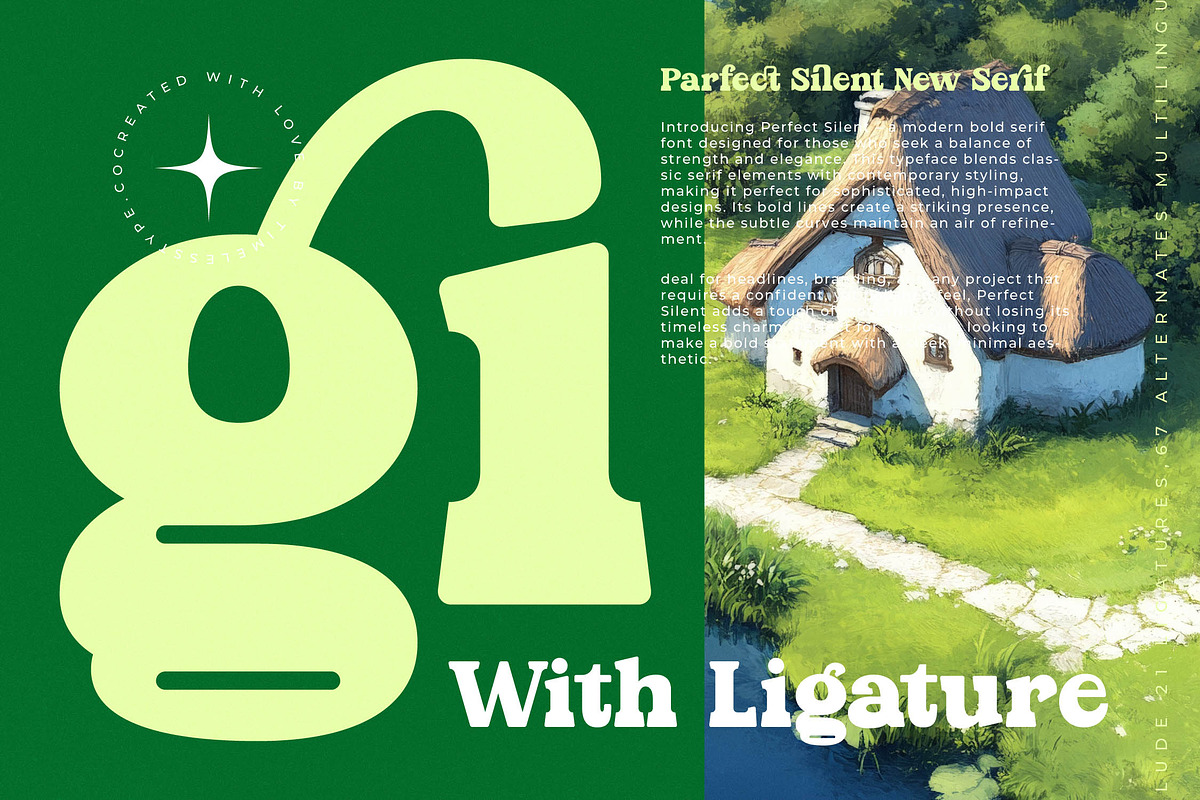 Parfect Silent Modern Bold Serif, a Serif Font by timelesstype.co (Photo 9 of 20)
