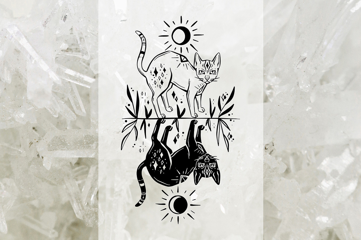 Magic Cats Illustrations Clipart, an Illustration by Julia M. Watercolor (Photo 2 of 13)