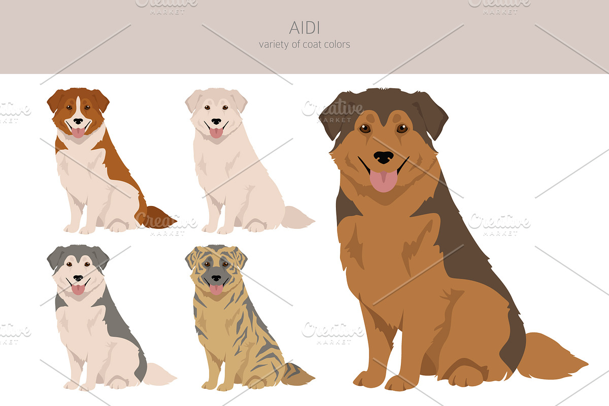 Aidi dog clipart, an Animal Illustration by pet design shop (Photo 3 of 6)