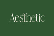 Lafonte Font, a Serif Font by vuuuds (Thumbnail 3 of 13)