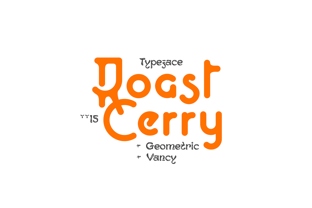 Bloosom Display Font, a Sans Serif Font by Saystype (Photo 1 of 6)