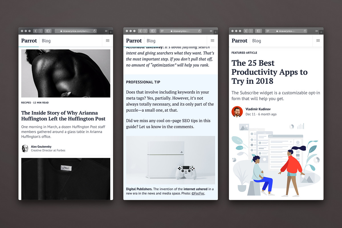Parrot: Bootstrap Blog Template, a Bootstrap Template by Nice, Very Nice (Photo 6 of 6)