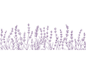 Lavender Flower Background Borders