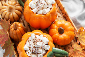Warming pumpkin mugs filled with hot chocolate and marshmallows, a Food & Drink Photo by Olena Rudo
