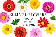 Summer flower heads. Design elements, an Object Graphic by ifiStudio (Thumbnail 1 of 3)