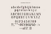 Destiny Gorgeous Font, a Serif Font by HansCo Studio (Thumbnail 9 of 12)
