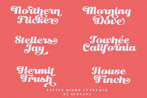 Little Bird Display Script