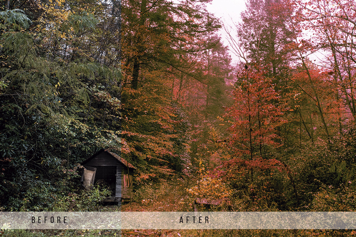 Forest Tone Lightroom Presets preview 2