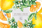 Pomelo Fruit Watercolor Collection, a Food Illustration by SashaKondr (Thumbnail 1 of 13)