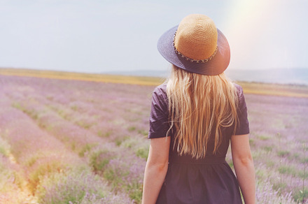 Girl in lavender field stock photo