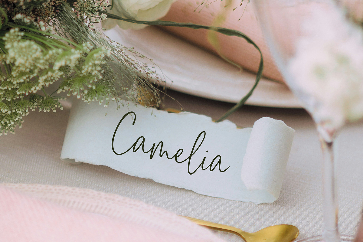 Chloe Mathel Handwritten Font, a Script Font by gafaroff studio (Photo 6 of 10)