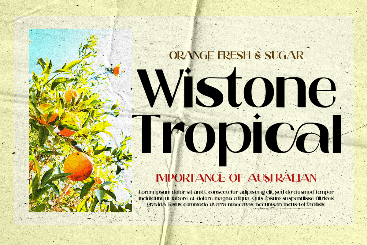 Rengita, a Sans Serif Font by Gatype (Photo 5 of 10)