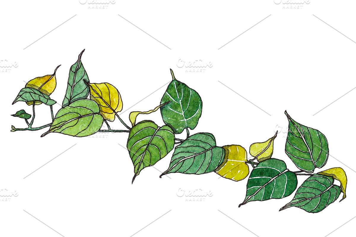 Watercolor palm leaves clipart, an Illustration by Watercolor_Vector Graphic (Photo 7 of 15)