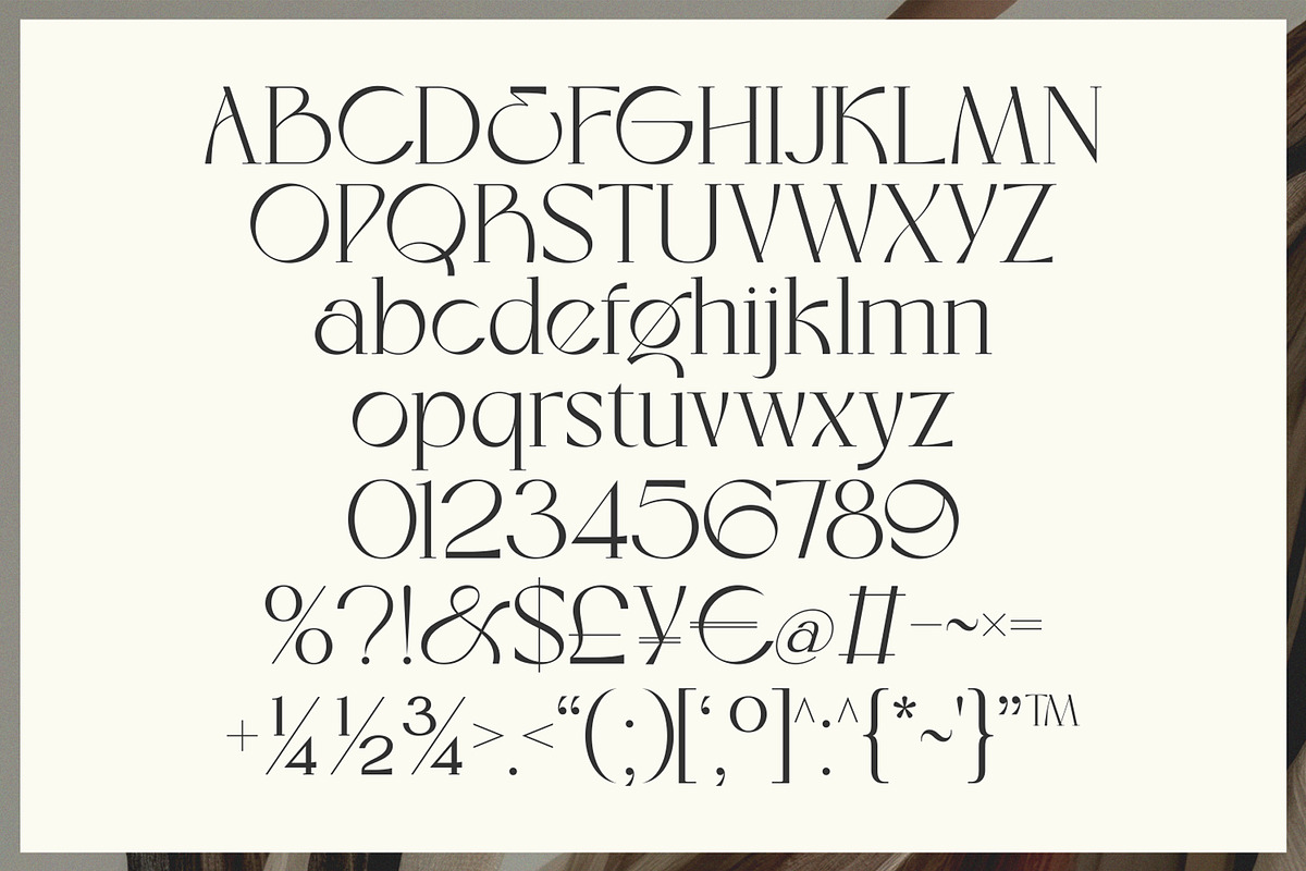 Eloires Elegant Stylish Serif Font, a Serif Font by Heinzel Std (Photo 11 of 11)