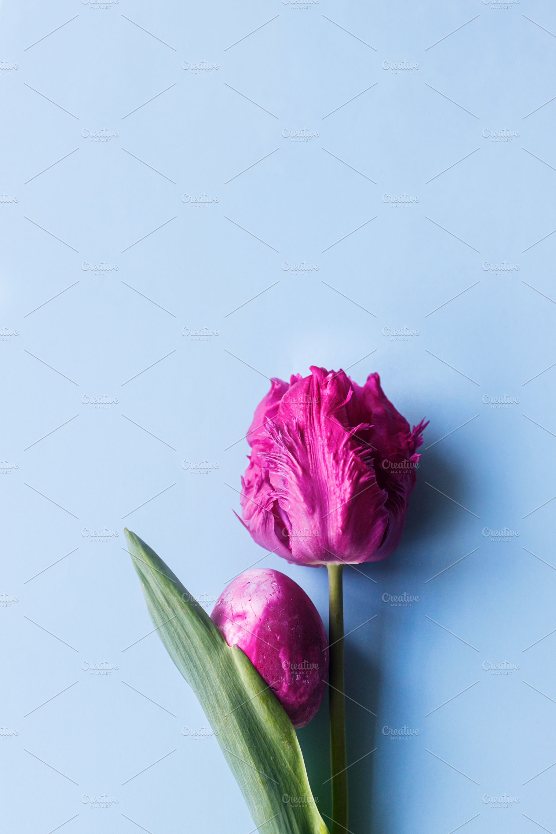 Easter flat lay. Stylish easter egg and pink tulip flat lay on b, a Holiday Photo by Sonjachni