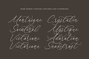 Anchesty Montaine Stylish Font, a Script Font by stylishtype.co (Thumbnail 12 of 20)