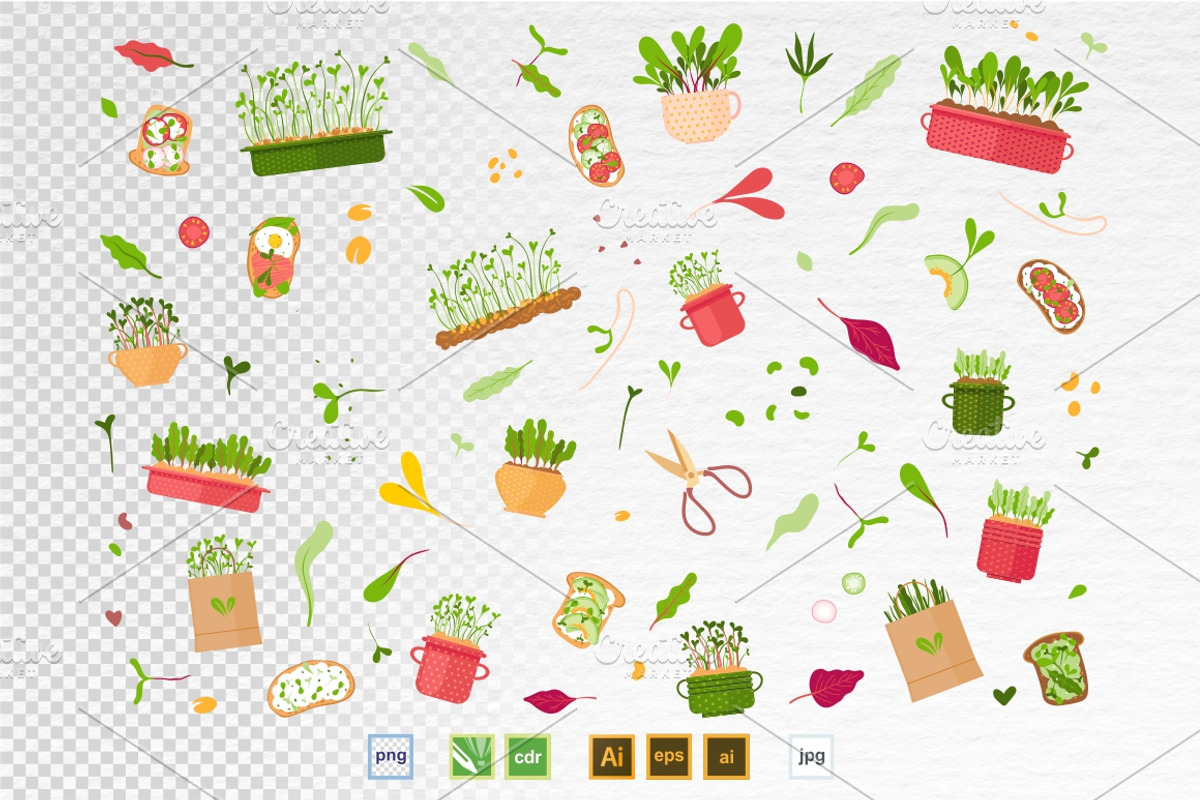 Microgreens Vector Set 1, a Food Illustration by ElenaKovalyova (Photo 14 of 21)