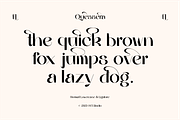 Quessera Font, a Sans Serif Font by Oui Studio (Thumbnail 10 of 21)