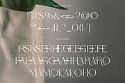 Wolmer - Modern And Elegant Serif, a Serif Font by Muflieart (Thumbnail 10 of 10)