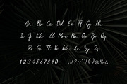 Serendipity Handwritten Font, a Handwritten Font by UICreative (Thumbnail 5 of 5)
