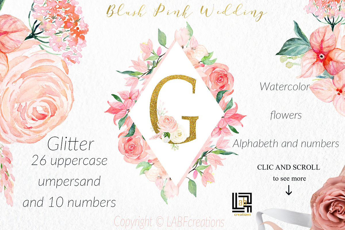 Blush pink bougainvillea flowers, an Illustration by LABFcreations (Photo 2 of 16)