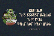 Aveloria, a Serif Font by zaaintype (Thumbnail 12 of 13)