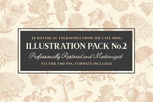 19 Vintage Fonts Bundle & Extras