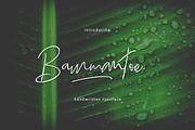 Bammantoe Typeface, a Script Font by Thirtypath Studio (Thumbnail 1 of 8)