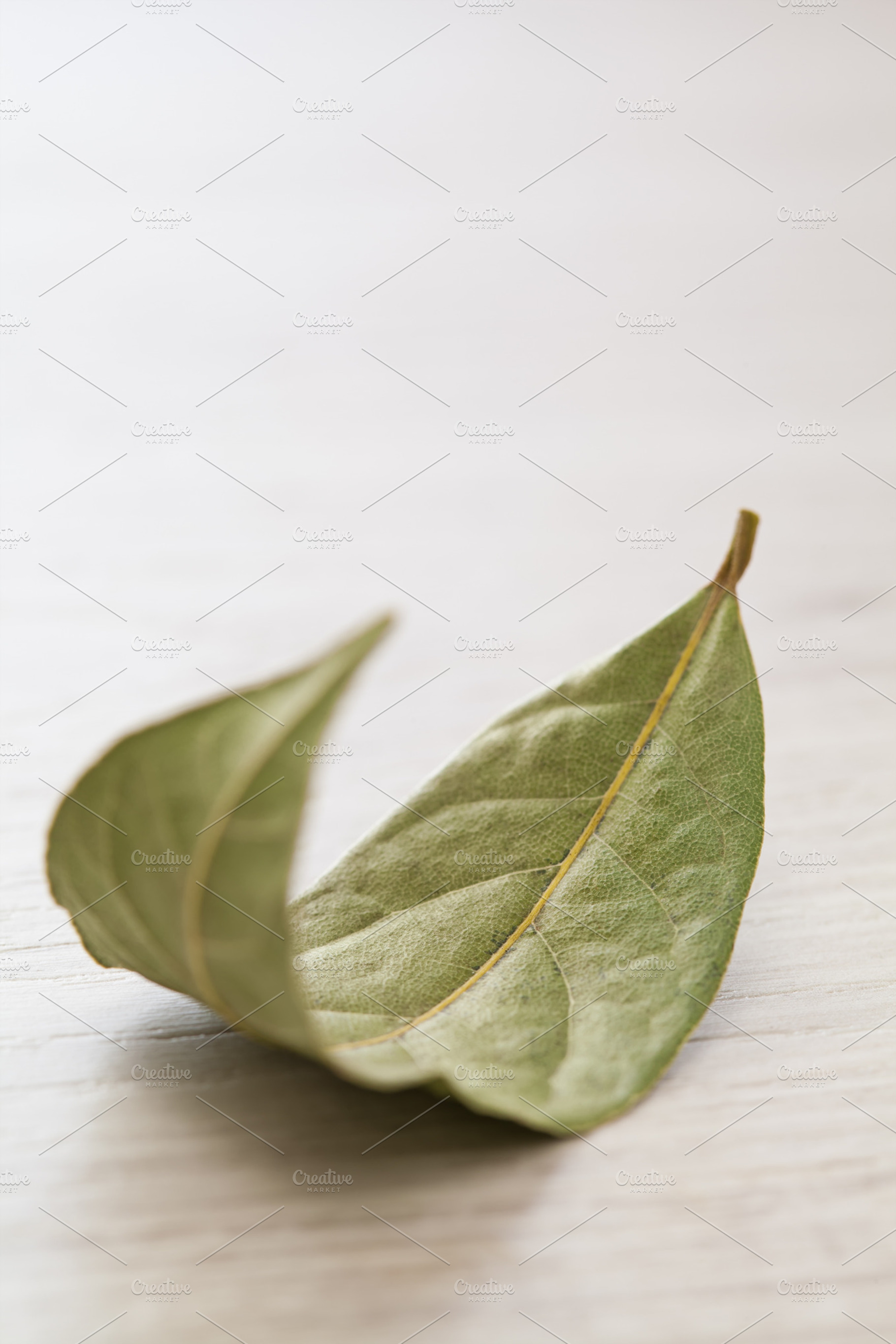 Bay leaf stock photo containing aromatic and background
