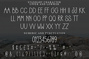 Chocolate Smoothies, a Sans Serif Font by FreshTypeINK (Thumbnail 4 of 8)