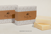Anindya Barielle Handwritten Script, a Script Font by Denustudios (Thumbnail 10 of 15)