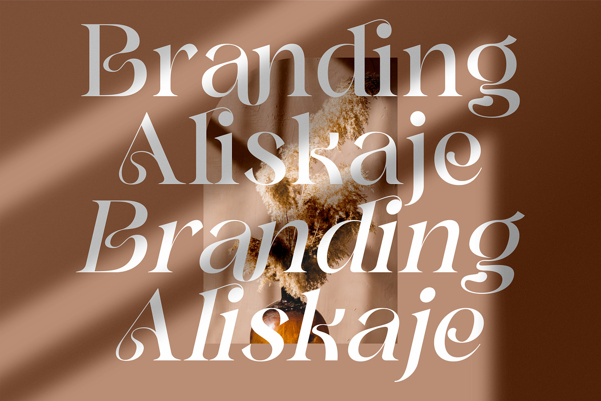 Branding Aliskaje Modern Serif Font, a Serif Font by Storytype Studio (Photo 2 of 9)